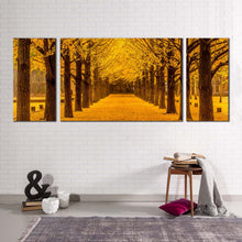 Load image into Gallery viewer, Trees Scenery Canvas Wall Art Brown Trees Autumn Road 3 Piece Canvas Set Orange Forest Path Canvas Print
