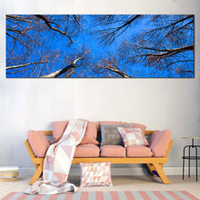 Load image into Gallery viewer, Trees  Autumn  Canvas  Print  Brown  Trees  Branches  Canvas  Set  Looking  Up  Trees  Blue  Sky  Living  Room  1  Piece  Canvas  Wall  Art In Living Room
