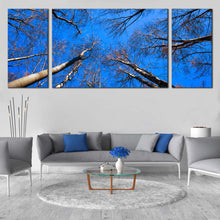 Load image into Gallery viewer, Trees  Autumn  Canvas  Print  Brown  Trees  Branches  Triptych  Canvas  Set  Looking  Up  Trees  Blue  Sky  Living  Room  3  Piece  Canvas  Wall  Art In Living Room
