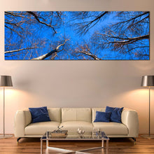 Load image into Gallery viewer, Trees  Branches  Canvas  Wall  Art  Looking  Up  Blue  Sky  Living  Room  1  Piece  Canvas  Brown  Trees  Autumn  Canvas  Print For Living Room
