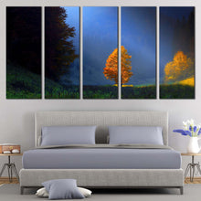 Load image into Gallery viewer, Trees Scenery Canvas Print Blue Sky Sun Beam Landscape Bedoom 5 Piece Canvas Wall Art Golden Orange Trees Majestic Scenery Multi Panel Canvas For Your Bedroom
