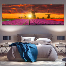 Load image into Gallery viewer, Tulips  Windmill  Canvas  Wall  Art  Holland  Red  Purple  Tulips  Fields 1  Piece  Canvas  Print In Bedroom
