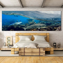 Load image into Gallery viewer, Underwater  Sharks  Canvas  Wall  Art  Grey  Shark  Fishes  Ocean  Canvas  Print  Blue  Ocean  Waves  Bedroom  1  Piece  Canvas In Bedroom
