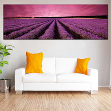 Load image into Gallery viewer, Valensole  Plateau  Canvas  Wall  Art  Purple  Lavender  Fields  Wide  Canvas  Beautiful  Black  Landscape  Scenery  Sunrise  Living  Room  Panoramic  Canvas In Living Room
