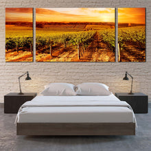 Load image into Gallery viewer, Vineyard Landscape Canvas Wall Art Yellow Orange Vineyard Sunset 3 Piece Split Canvas Beautiful Green Vinyard Scenery Triptych Canvas Print For Bedroom
