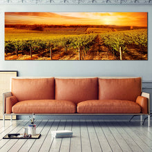 Load image into Gallery viewer, Vineyard  Landscape  Canvas  Wall  Art  Yellow  Orange  Vineyard  Sunset  Living  Room  1  Piece  Canvas In Living Room
