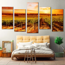 Load image into Gallery viewer, Vineyard Scenery Canvas Wall Art Beautiful Green Vinyard Landscape Canvas Print Yellow Orange Cloudy Vinyard Sunset 5 Piece Multi Panel Canvas 
