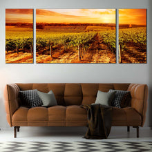 Load image into Gallery viewer, Vineyard Scenery Canvas Wall Art Beautiful Green Vinyard Landscape Canvas Print Yellow Orange Cloudy Vinyard Sunset  3 Piece Canvas In Living Room
