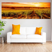 Load image into Gallery viewer, Vineyard  Sunset  Canvas  Wall  Art  Green  Vinyard  Scenery  Living  Room  1  Piece  Canvas  Artwork For Living Room
