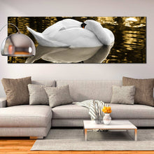 Load image into Gallery viewer, White  beautiful  swan  resting  on  lake  water  large  canvas  print For Living Room
