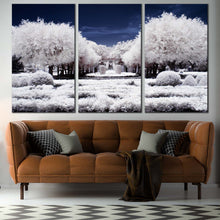 Load image into Gallery viewer, Winter Scenery Canvas Wall Art Snow Covered White Trees Forest 3 Piece Multi Canvas Artwork Blue Night Cloudy Sky Canvas Print In Living Room 
