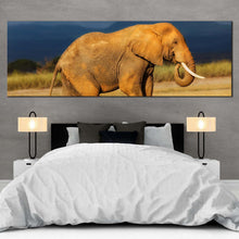 Load image into Gallery viewer, african  elephant  canvas  print  orange  grey  peaceful  elephant  1  piece  canvas  wall  art  elephant  scenery  wide  canvas In Bedroom
