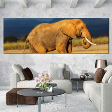 Load image into Gallery viewer, african  elephant  canvas  print  orange  grey  peaceful  elephant  1  piece  canvas  wall  art  elephant  scenery  wide  canvas In Living Room
