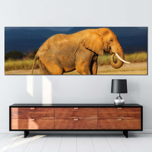 Load image into Gallery viewer, african  elephant  canvas  print  orange  grey  peaceful  elephant  1  piece  canvas  wall  art  elephant  scenery  wide  canvas For Living Room
