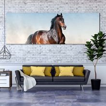 Load image into Gallery viewer, bay  stallion  canvas  wall  art  brown  horse  portrait  1  piece  canvas  print  horse  white  desert  canvas  artwork For Living Room
