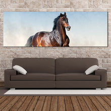 Load image into Gallery viewer, bay  stallion  canvas  wall  art  brown  horse  portrait  1  piece  canvas  print  horse  white  desert  canvas  artwork In Living Room
