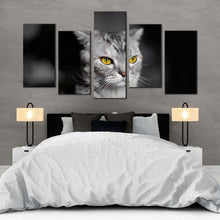 Load image into Gallery viewer, beautiful cat canvas wall art yellow cat eyes pet 5 piece canvas print grey cat sitting multiple canvas For Bedroom
