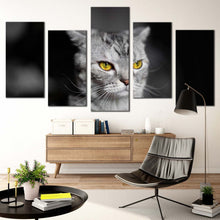 Load image into Gallery viewer, beautiful cat canvas wall art yellow cat eyes pet 5 piece canvas print grey cat sitting multiple canvas In Living Room
