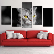 Load image into Gallery viewer, beautiful cat canvas wall art yellow cat eyes pet 5 piece canvas print grey cat sitting multiple canvas For Living Room
