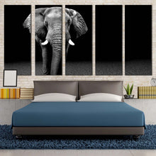 Load image into Gallery viewer, beautiful elephant canvas wall art black and white elephant front multiple canvas isolated elephant canvas set grey elephant front 5 piece canvas print For Bedroom
