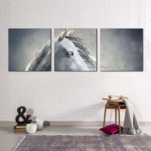 Load image into Gallery viewer, beautiful  horse  canvas  wall  art  white  grey  horse  portrait  3  piece  multiple  canvas  horse  close  up  canvas  print
