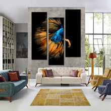 Load image into Gallery viewer, betta  splendens  isolated  on  black  background  3  split  panel  canvas  print For Living Room
