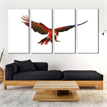 Load image into Gallery viewer, bird flying canvas wall art red macaw parrot isolated canvas print white background bird flying 4 piece multi canvas For Living Room
