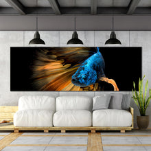 Load image into Gallery viewer, blue  golden  Betta  splendens  crown  tail  fish  deep  water  oversize  canvas  print For Living Room
