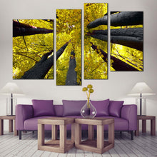 Load image into Gallery viewer, canopy of Yellow leaves 4 panel canvas prints 
