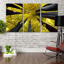 Load image into Gallery viewer, canopy of Yellow leaves in forest looking up sky multi panel canvas print For Living Room
