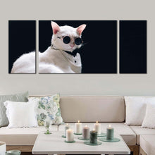 Load image into Gallery viewer, cat  animal  canvas  print  cat  posing  in  black  background  3  piece  multi  canvas  artwork  white  cool  cat  canvas  wall  art For Living Room
