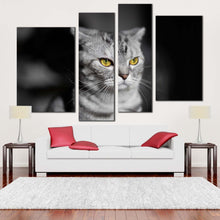 Load image into Gallery viewer, cat animal canvas print grey cat sitting 4 piece canvas wall art yellow cat eyes pet multi canvas in living room
