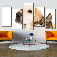 Load image into Gallery viewer, cat animal canvas wall art white brown dog and cat 5 piece canvas print cat dog pets multi canvas For Living Room
