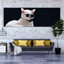 Load image into Gallery viewer, cat  posing  canvas  wall  art  white  cat  portrait  canvas  artwork  cool  cat  in  black  background  1  piece  canvas  print For Living Room
