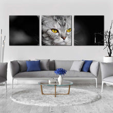 Load image into Gallery viewer, cat  sitting  canvas  wall  art  grey  cat  close  up  3  piece  canvas  set  yellow  cat  eyes  canvas  print In Living Room
