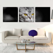 Load image into Gallery viewer, cat  sitting  canvas  wall  art  grey  cat  close  up  3  piece  canvas  set  yellow  cat  eyes  canvas  print For Your Living Room
