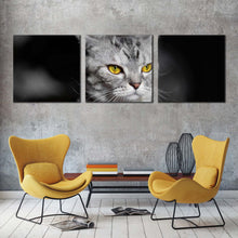 Load image into Gallery viewer, cat  sitting  canvas  wall  art  grey  cat  close  up  3  piece  canvas  set  yellow  cat  eyes  canvas  print For Living Room
