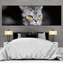 Load image into Gallery viewer, cats  pet  canvas  wall  art  yellow  cat  eyes  1  piece  canvas  print  grey  cat  close  up  wide  canvas For Bedroom
