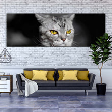 Load image into Gallery viewer, cats  pet  canvas  wall  art  yellow  cat  eyes  1  piece  canvas  print  grey  cat  close  up  wide  canvas For Living Room
