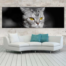 Load image into Gallery viewer, cats  pet  canvas  wall  art  yellow  cat  eyes  1  piece  canvas  print  grey  cat  close  up  wide  canvas In Living Room
