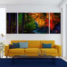 Load image into Gallery viewer, colorful  path  forest  3  piece  wall  art For Living Room
