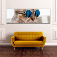 Load image into Gallery viewer, cool  cat  canvas  wall  art  cat  wearing  blue  sunglasses  1  piece  canvas  artwork  brown  cat  close  up  canvas  print In Living Room
