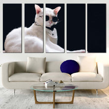 Load image into Gallery viewer, cool cat canvas wall art white cat posing 5 piece canvas cat portrait in black background canvas print In LIving Room
