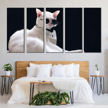 Load image into Gallery viewer, cool cat canvas wall art white cat posing 5 piece canvas cat portrait in black background canvas print For Bedroom
