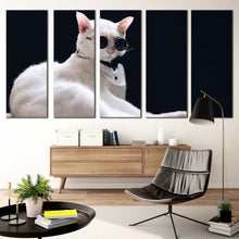 Load image into Gallery viewer, cool cat canvas wall art white cat posing 5 piece canvas cat portrait in black background canvas print For Living room
