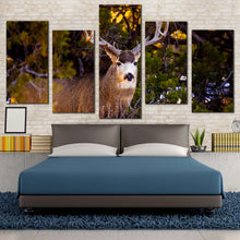 Load image into Gallery viewer, deer nature canvas print mule deer green scenery 5 piece canvas wall art brown deer wildlife multiple canvas For Your Bedroom
