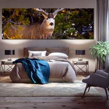 Load image into Gallery viewer, deer  wildlife  canvas  wall  art  deer  green  national  park  1  piece  canvas  print  brown  mule  deer  staring  canvas  artwork For Bedroom
