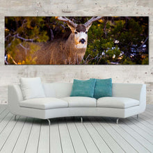 Load image into Gallery viewer, deer  wildlife  canvas  wall  art  deer  green  national  park  1  piece  canvas  print  brown  mule  deer  staring  canvas  artwork In Living Room
