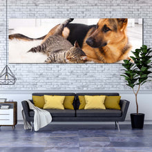 Load image into Gallery viewer, dog  animal  canvas  wall  art  black  brown  dog  canvas  artwork  cat  and  dog  relaxing  1  piece  canvas  print In Living Room
