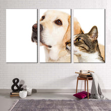 Load image into Gallery viewer, dog animal canvas wall art labrador dog and brown cat 3 piece multiple canvas white dog and cat pets canvas print 
